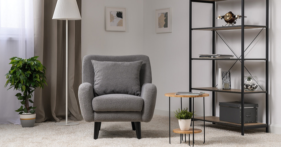 Кресло для отдыха Шон ТК 273 велюр Romeo 06 серый